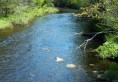 Trout Stream in Morehouse 
